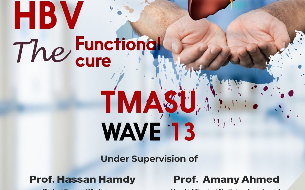 HBV The Functional Cure (TAMASU – Wave 13)